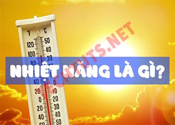 Nhiệt năng là gì và những ứng dụng trong thực tế