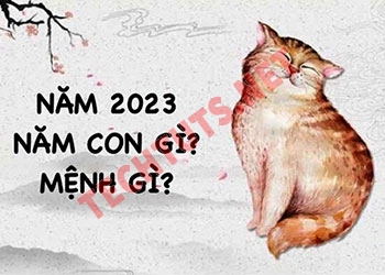 Năm 2023 là năm con gì, mệnh gì, hợp tuổi nào?