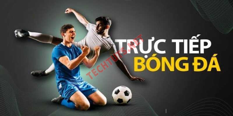 Socolive tv - Kênh giải trí bóng đá hàng đầu Việt Nam