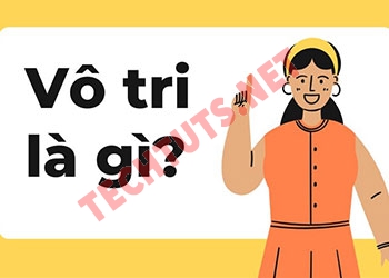 Vô tri là gì trong ngôn ngữ Gen Z, khám phá nguồn gốc thật sự