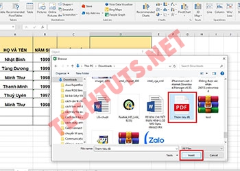 Cách chèn file pdf vào Excel đơn giản và nhanh chóng nhất