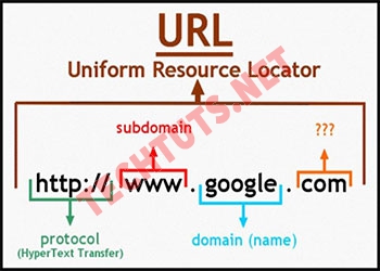 Url là gì? Hướng dẫn từ A đến Z về Url trong duyệt web