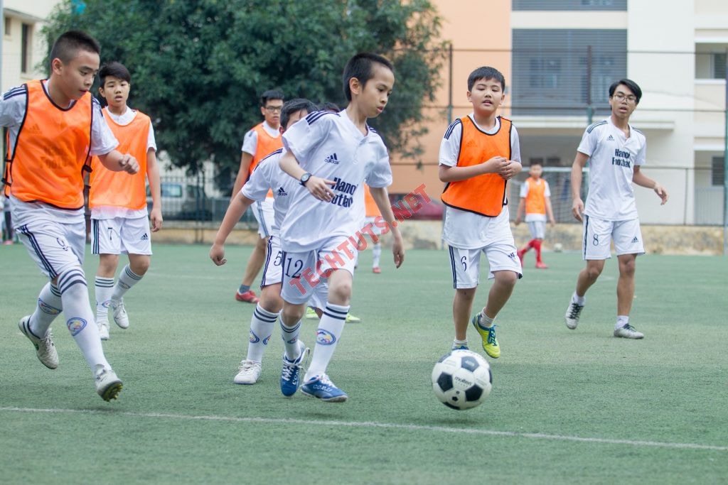 Top 5 các lò đào tạo bóng đá trẻ Việt Nam uy tín nhất
