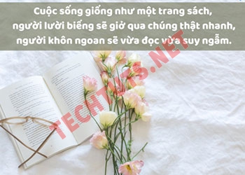 400+ caption hay về cuộc sống hài hước, ý nghĩa để câu like