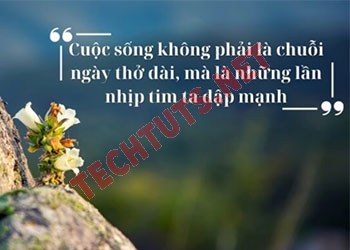 99+ câu châm ngôn cuộc sống hay, ý nghĩa truyền cảm hứng