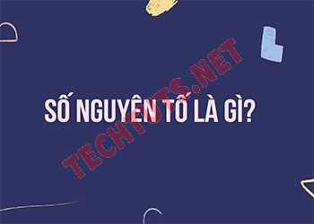 Số nguyên tố là gì? Tính chất và cách tìm số nguyên tố