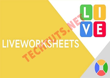 Liveworksheet là gì? Cách tạo tài khoản và sử dụng hiệu quả